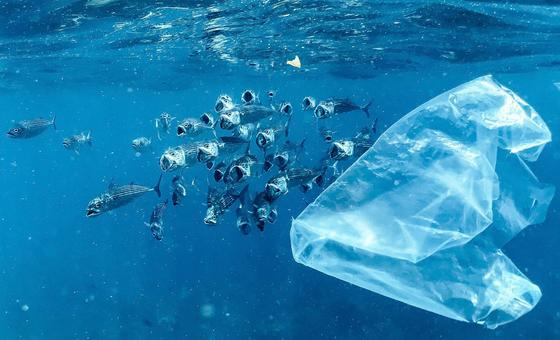 The final straw? Plastic pollution talks get underway in Geneva