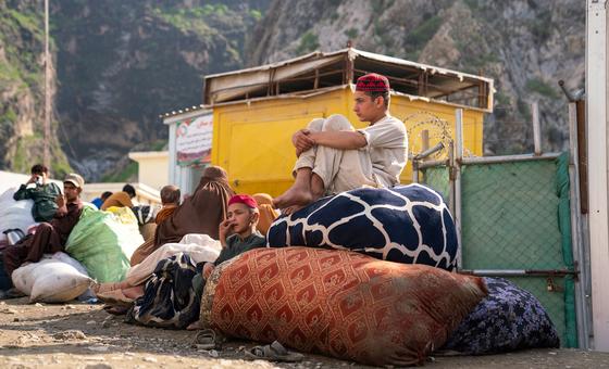 UNHCR urges Pakistan to stop forced returns of Afghan refugees