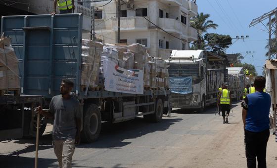 Just 1.5 per cent of Gaza’s agricultural land remains accessible and undamaged