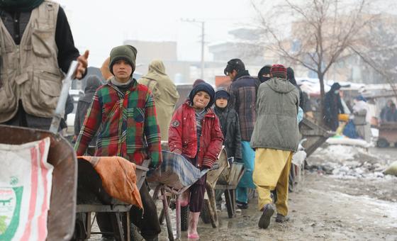 World News in Brief: Funding schools in Afghanistan, Seaweed farming in Latin America, drought in Somalia