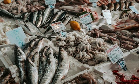 How nuclear technology can help fight seafood fraud