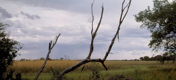 Once-in-a-decade push for the ‘locked out’: Global leaders set for landmark UN conference in Turkmenistan