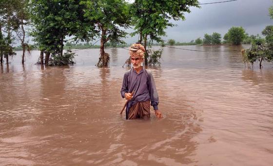 World News in Brief: Pakistan floods, countries lag on climate reporting, concern over attack on peacekeepers in south Lebanon, cuts hit human rights investigations