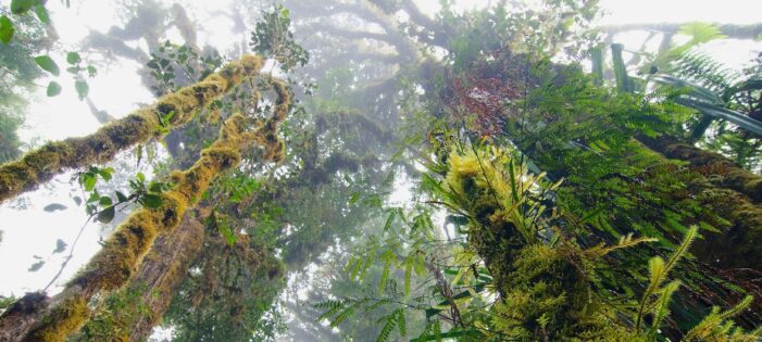 UN chief hails ‘remarkable example’ of Papua New Guinea as he concludes historic trip