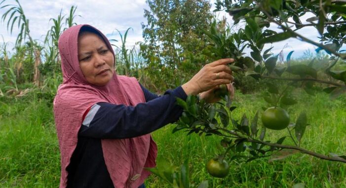 How Local Leadership Powers Indonesia’s Climate Ambitions