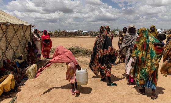Sudan War: Cholera Vaccination Campaign Begins in Darfur