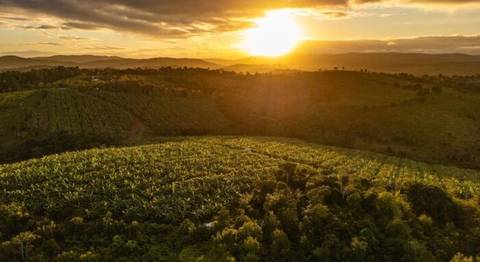 Welcome to the ‘agrihood’ – the neighbourhood of the future?