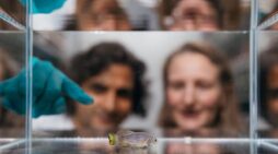 As a lifetime passes in front of our eyes, here’s the structure of how aging plays out