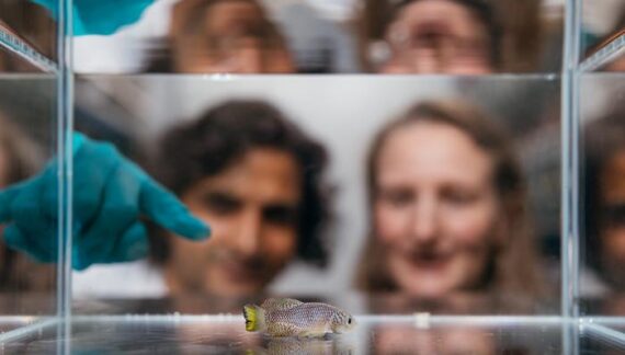 As a lifetime passes in front of our eyes, here’s the structure of how aging plays out