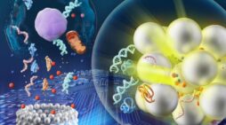 New MetaRing Sensor Spots Breast Cancer Drug Response in 10 Minutes