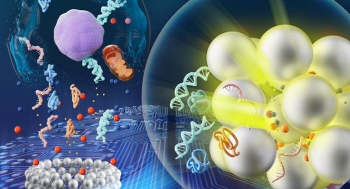 New MetaRing Sensor Spots Breast Cancer Drug Response in 10 Minutes