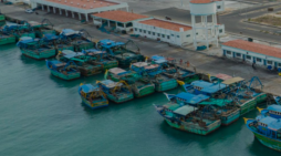 Illegal Fishing Intrusions Reported Off Andhra Coast, Centre Details Action