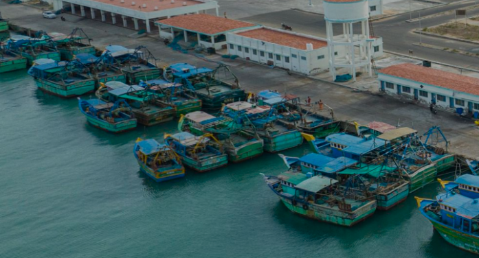 Illegal Fishing Intrusions Reported Off Andhra Coast, Centre Details Action