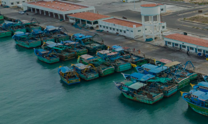 Illegal Fishing Intrusions Reported Off Andhra Coast, Centre Details Action