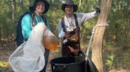 Ghost Forests Reveal Hidden Climate Threats Along U.S. Coasts, Study Finds