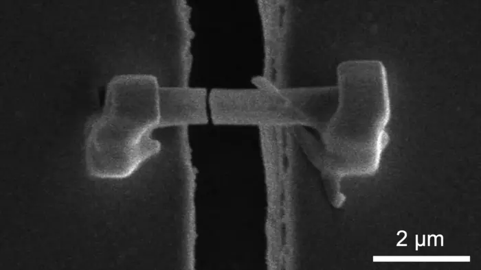 What makes lithium-ion batteries fail? Microscopic metal thorns give leads to scientists What makes lithium-ion batteries fail? Microscopic metal thorns give leads to scientists