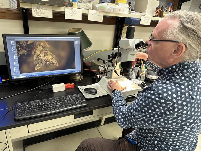 How moss led to the solving a grave-robbing mystery