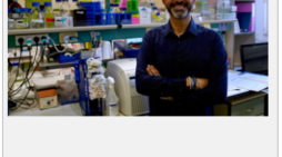 The Cannabis compounds are promising in the battle against fatty liver disease