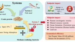 Brewing protein from greenhouse gases: A greener, more profitable alternative to farming, fishing