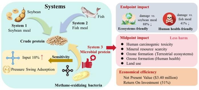 Brewing protein from greenhouse gases: A greener, more profitable alternative to farming, fishing
