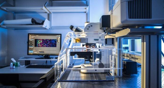 What is Rett Syndrome ? New study Opens Avenue to Cure This Rare Disorder