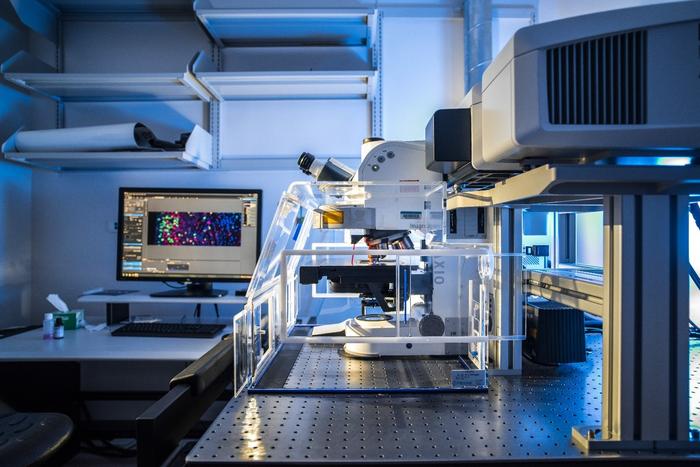 What is Rett Syndrome ? New study Opens Avenue to Cure This Rare Disorder