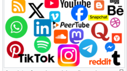 TikTok’s mental health ‘minefield’ may be unreliable or misleading: Study