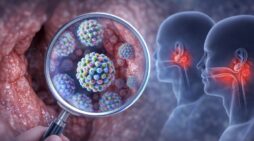 Cold virus ‘hides’ and multiplies in tonsils and adenoids, even in people without symptoms