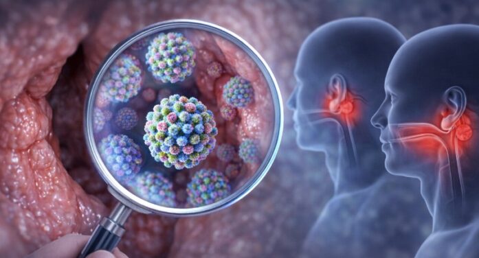 Cold virus ‘hides’ and multiplies in tonsils and adenoids, even in people without symptoms