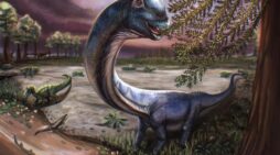 ‘Nagatitan’: Southeast Asia’s biggest long-necked dinosaur discovered