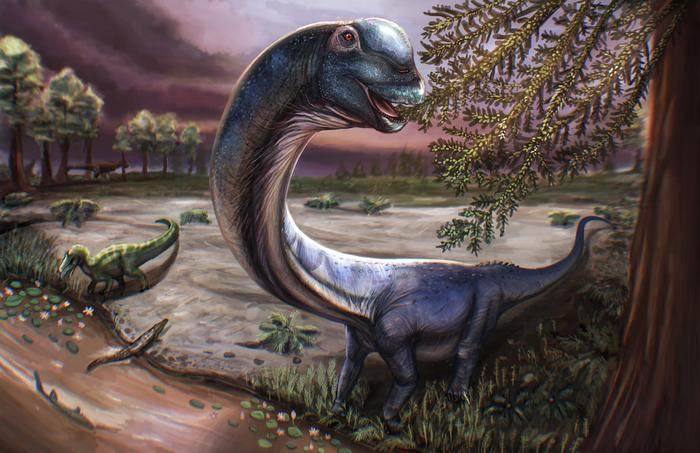 ‘Nagatitan’: Southeast Asia’s biggest long-necked dinosaur discovered