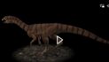 New species of bizarre, bipedal, toothless crocodile relative from the Triassic discovered in Ghost Ranch