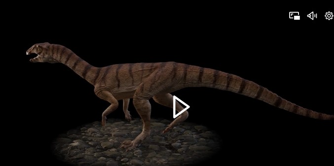 New species of bizarre, bipedal, toothless crocodile relative from the Triassic discovered in Ghost Ranch