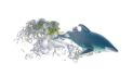 Why Dolphins Swim So Fast: Scientists Decode The Role Of Eddies