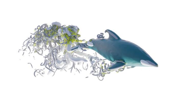 Why Dolphins Swim So Fast: Scientists Decode The Role Of Eddies