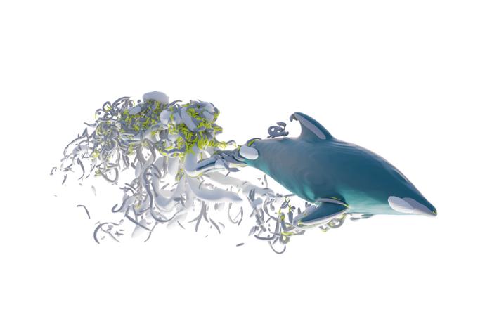 Why Dolphins Swim So Fast: Scientists Decode The Role Of Eddies