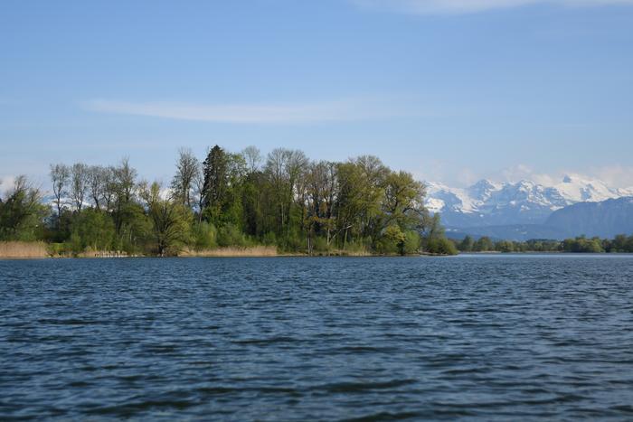 How Climate Change Weakens The Lakes’ Natural Ability To Purify Water